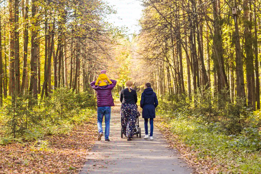 Why Is Walking Good for You?